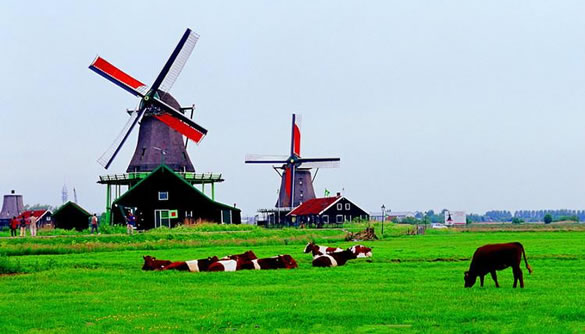 Dutch